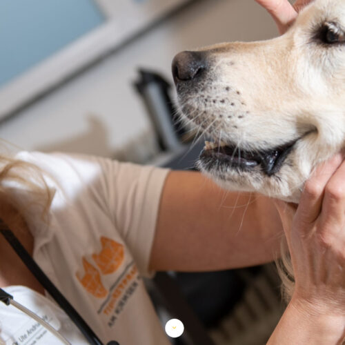 Grundlagen BWL VWL FEHLER GEFUNDEN? Du bist hier: Startseite » Alle Lektionen » Marketing » Strategisches Marketing Strategisches Marketing Enthält: Beispiele · Definition · Grafiken · Übungsfragen Strategisches Marketing bedeutet, dass alle werbenden Maßnahmen eines Unternehmens langfristig ausgerichtet sind. Ein Unternehmen entscheidet sich z. B. für das strategische Marketing, wenn es nicht nur ein einzelnes Produkt bewirbt, sondern eine Marke aufbauen möchte oder ein besseres Unternehmensimage erzielen möchte. In diesem Text erklären wir dir, was sich hinter dem strategischen Marketing verbirgt. Du erfährst hier, was das strategische Marketing vom operativen Marketing unterscheidet und welche Aufgaben ein Unternehmen innerhalb des strategischen Marketings zu erfüllen hat. Abschließend zeigen wir dir, welche Voraussetzungen ein Unternehmen schaffen muss, wenn es das strategische Marketing in seinem Unternehmen durchsetzen möchte. Zur Vertiefung deiner Kenntnisse über das strategische Marketing kannst du nach dem Beitrag einige Übungsfragen beantworten. Synonym: Strategische Marketingplanung/li> Englisch: strategic marketing Inhalt dieser Lektion Was solltest du über strategisches Marketing wissen? Strategische Planung Strategische Implementierung Strategische Kontrolle Unterschied zwischen operativem strategischem Marketing Aspekte des strategischen Marketings Marketingziele Marktsegmente Wettbewerbsstrategien Wachstumsstrategien Beispiel für strategisches Marketing Voraussetzungen für das strategische Marketing Übungsfragen Results Anzeige1 Was solltest du über strategisches Marketing wissen? Strategisches Marketing beinhaltet alle Maßnahmen, die ein Unternehmen konzipiert und ausführt, um Strategien im Marketing zu entwickeln, zu planen und zu kontrollieren. Ist das Konzept fertig, bildet dies die Grundlage für das operative Marketing. Das strategische Marketing setzt sich aus den folgenden drei Bausteinen zusammen: Strategische Planung Strategische Implementierung Strategische Kontrolle Strategisches Marketing Strategisches Marketing Strategische Planung Die strategische Planung beginnt mit der strategischen Analyse, Aufbauend auf der Formulierung der strategischen Ziele werden die passenden Marketingstrategien entwickelt. Strategische Implementierung Die Marketingstrategien werden entwickelt und bewertet. Strategische Kontrolle Die strategische Kontrolle beginnt mit einem Soll-Ist-Vergleich. Mithilfe einer Abweichungsanalyse stellt das Unternehmen fest, wie groß die Schnittmenge von Soll und Ist ist. Falls erforderlich nimmt das Unternehmen eine Optimierung der Marketingstrategien vor. Unterschied zwischen operativem strategischem Marketing Die Maßnahmen, die ein Unternehmen im strategischen Marketing ergreift, weichen von den Maßnahmen im operativen Marketing wie folgt ab: Das strategische Marketing verfolgt eine langfristige Ausrichtung der Marketingmethoden. Beim operativen Marketing steht die kurze bis mittelfristige Ausrichtung im Vordergrund. Wegen der langfristigen Ausrichtung unterliegen die strategischen Marketingmaßnahmen einem hohen Risiko. Bei den operativen Marketingmaßnahmen kann das Unternehmen hinsichtlich des Marketingerfolgs mit einem eher geringen Risiko rechnen. Für das strategische Marketing trägt die oberste Führung des Unternehmens die Verantwortung. Operative Marketingmaßnahmen können an untere Führungsebenen delegiert werden. Aspekte des strategischen Marketings Beim strategischen Marketing berücksichtigt ein Unternehmen die folgenden Aspekte: Marketingziele Marktsegmente Wettbewerbsstrategien Wachstumsstrategien Marketingziele Zu den strategischen Marketingzielen gehört z. B., dass ein Unternehmen seinen Bekanntheitsgrad steigert und Imagepflege betreibt. Bestenfalls strebt ein Unternehmen die Marktführerschaft an. In jedem Fall sollen die Marketingziele aber dazu führen, dass ein Unternehmen seinen Umsatz steigern kann. Marktsegmente Bei der Entwicklung strategischer Marketingmethoden spielen auch die Marktsegmente eine entscheidende Rolle. So ist ein Unternehmen neben der Einteilung der Zielgruppe auch auf den geographischen Faktor fokussiert. Wettbewerbsstrategien Ein Unternehmen, das Produkte auf dem Markt anbietet, muss sich immer mit den Handlungen der Konkurrenz auseinandersetzen. Ergibt sich für eine Produkt eine Nische und kann das Unternehmen wegen einer technischen Neuerung eine verbesserte Produktinnovation anbieten, sollten die strategischen Marketingmaßnahmen hierauf ausgerichtet werden. Wachstumsstrategien Verbesserte Produktinnovationen können zu einem Marktwachstum führen. Aber auch hier müssen strategische Marketingmaßnahmen installiert sein. Beispiel für strategisches Marketing Beispiel Für sein Marketing entscheidet sich die Geschäftsführung eines Unternehmens gemeinsam mit dem Management-Team der Marketing-Abteilung für eine langfristige Marketing-Strategie. Das Unternehmen hat das Marketingziel treue Kunden zu generieren, die langfristig beim Unternehmen kaufen und somit den Cash-Flow sichern. Bezüglich der Marktsegmente adressiert das Unternehmen junge, berufstätige Familienväter im ländlichen Raum. Bei der Wettbewerbsstrategie fokussiert sich das strategische Marketing auf die Kostenführerschaft: Es will günstiger sein als die Mitbewerber. Außerdem sollen Innovationen zu einem Wachstum beitragen. Voraussetzungen für das strategische Marketing Damit die strategischen Marketingmaßnahmen funktionieren, muss ein Unternehmen die folgenden Voraussetzungen schaffen: Strategische Marketingmaßnahmen sind zukunftsorientiert Strategisches Marketing muss auf die passende Zielgruppe ausgerichtet sein In die Organisation des strategischen Marketings müssen alle Unternehmensebenen einbezogen werden Übungsfragen #1. Eine kurz- bis mittelfristige Ausrichtung der Vertriebsabteilung ist Kennzeichen des ... operativen Marketings strategischen Marketings #2. Was gehört nicht zu den Bausteinen des strategischen Marketings? Strategische Planung Strategische Kontrolle Strategische Bilanzierung #3. Bei welcher Methode besteht hinsichtlich des Marketingerfolgs ein eher geringes Risiko? Beim operativen Marketing Unabhängig davon, für welche Marketingmaßnahmen sich ein Unternehmen entscheidet, besteht immer ein hohes Risiko. Beim strategischen Marketing #4. Welche Aussage zum strategischen Marketing ist nicht korrekt? Marketingziele sind ein wichtiger Aspekt des strategischen Marketings. Die Verantwortung für die Durchführung des strategischen Marketings trägt die oberste Führungsebene eines Unternehmens. Strategische Marketingmaßnahmen sind vergangenheitsorientiert. FERTIG Könnte dich auch interessieren: Marketing Mix Marketing-Mix Die zielgerichtete Koordination der Marketinginstrumente wird als Marketing-Mix bezeichnet. Dabei werden die einzelnen Marketinginstrumente (Teilpolitiken des Marketings) bestmöglich aufeinander abgestimmt, Multi Level Marketing Multi Level Marketing Multi Level Marketing ist eine eher neue Möglichkeit des Marketings. Es grenzt sich von dem klassischen Direktvertrieb ab, weil die Konsumgütermarketing: Einteilung von Wirtschaftsgütern Konsumgütermarketing Konsumgütermarketing ist die Vermarktung von Konsumgütern für den privaten Bedarf. Die Konsumgüter, die für den Endverbraucher bestimmt sind, setzen sich Marketing Mix: Die 4 Ps Marketing Mix 4Ps Um ein Produkt oder eine Dienstleistung erfolgreich vermarkten zu können, braucht es eine Strategie. Die Vermarktung erfolgt durch definierte Instrumente Maßnahmen des Mobile Marketing Mobile Marketing Mobile Marketing ist eine Form des Digital Marketing. Es ist darauf ausgerichtet, potenzielle Nutzer und Kunden über mobile Endgeräte anzusprechen Nichts passendes dabei? Erkunde andere Fachbereiche oder benutze die Suchfunktion. Falls Du keine Antwort auf Deine Frage findest, schick uns gerne eine Nachricht, wir versuchen dann passenden Content für Dich zu schaffen. ZUR ÜBERSICHT Oder lieber die Suche benutzen? Eselsbrücke|Buchungssatz|Formeln|Beispiele|Grafiken|Definition|Übungsfragen © BWL-Lexikon.de Datenschutz Impressum Cookie Einstellungen werbeagentur stuttgart