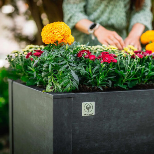 Werbeagentur Stuttgart: Erfolgreiche App-Kampagnen mit klarer Botschaft – das Beispiel Denns Biomarkt Wie bringt man eine neue App schnell in die Köpfe und Smartphones der Konsumenten? Die aktuelle Kampagne von Denns Biomarkt zeigt eindrucksvoll, wie eine durchdachte Strategie, Humor und Alltagsnähe zusammenspielen. Für Unternehmen aus Baden-Württemberg ist das ein spannendes Best-Practice-Beispiel, das auch für jede Werbeagentur in Stuttgart hochrelevant ist.